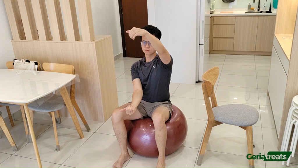 230 Steering wheel - on a stability ball