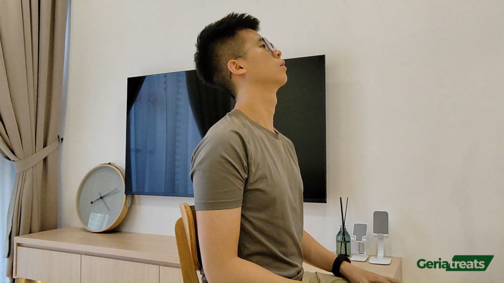 111 Neck stretches sitting - flexion, extension, side flexion, rotation